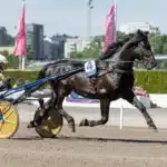 V85 statistik: Spetskoll inför BERGSÅKER b.w. sture heat 2 1440x961 jpg