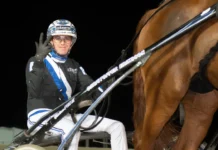 Inför V86: Eriksson kommer med ett skepp lastat: ”Fina hästar allihop” christoffer eriksson segergest i sulky 1080x719 jpg