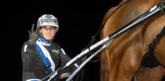 Inför V86: Eriksson kommer med ett skepp lastat: ”Fina hästar allihop” christoffer eriksson segergest i sulky 1080x719 jpg