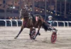 Untersteiner inför V85 ROMME: ”Vi får gå all in” cruiser malgang2 1440x960 jpg (1)