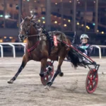 Untersteiner inför V85 ROMME: ”Vi får gå all in” cruiser malgang2 1440x960 jpg (1)