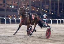 Untersteiner inför V85 ROMME: ”Vi får gå all in” cruiser malgang2 1440x960 jpg (1)