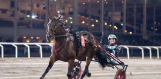 Untersteiner inför V85 ROMME: ”Vi får gå all in” cruiser malgang2 1440x960 jpg (1)