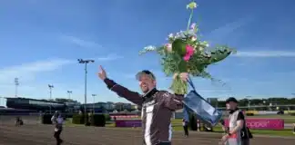 Inför V85 (onsdag): Glödhet Redén kan ta nya miljonsegrar daniel reden lycklig efter elitloppssegern 1440x1006 jpg