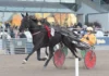 Inför V86 12 augusti: Genrepar inför VM Inför V86® (jackpot): Genrepar inför VM