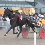 Inför V86 12 augusti: Genrepar inför VM Inför V86® (jackpot): Genrepar inför VM