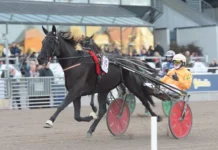 Inför V86 12 augusti: Genrepar inför VM Inför V86® (jackpot): Genrepar inför VM