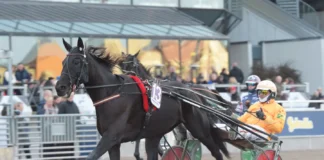 Inför V86 12 augusti: Genrepar inför VM Inför V86® (jackpot): Genrepar inför VM