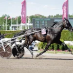Redén flyger stjärnduo till Italien don fanucci zet heat 1440x960 jpg (1)