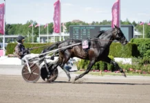 Redén flyger stjärnduo till Italien don fanucci zet heat 1440x960 jpg (1)