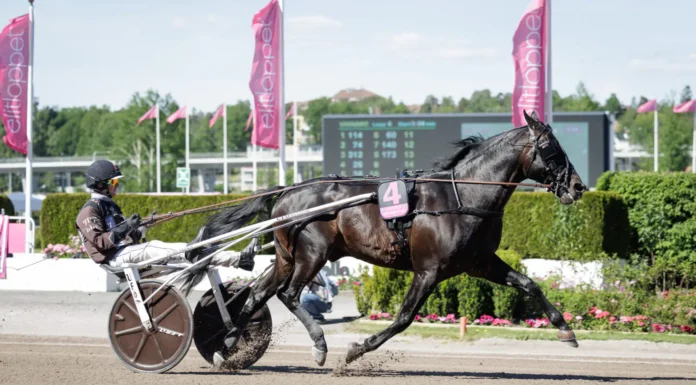Redén flyger stjärnduo till Italien don fanucci zet heat 1440x960 jpg (1)