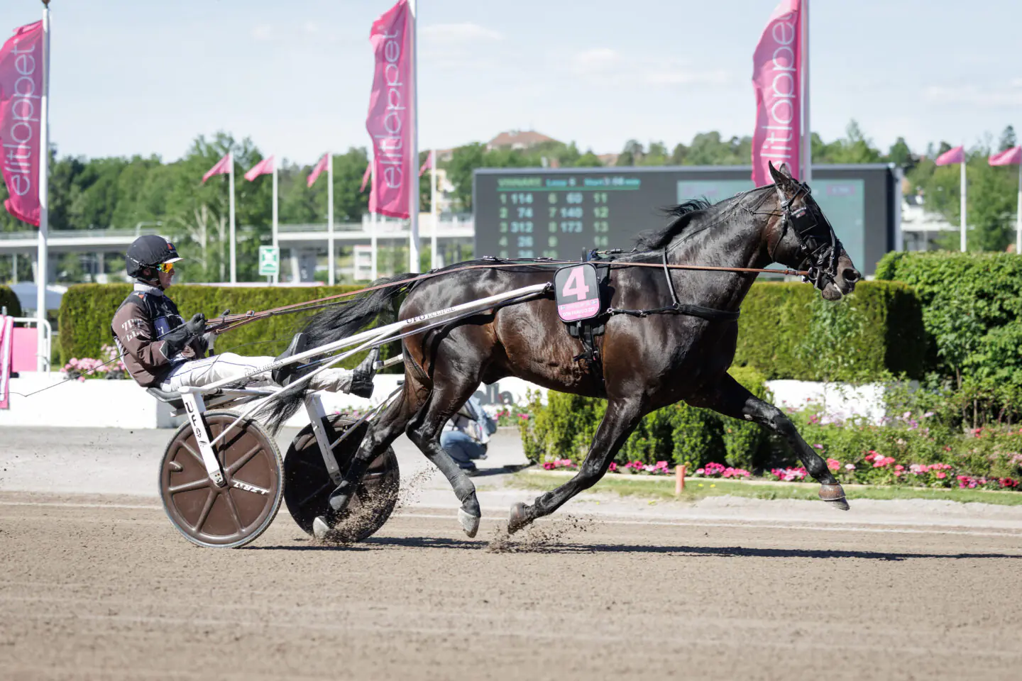 don fanucci zet heat 1440x960 jpg (1)