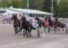 V85 ÖSTERSUND 8 aug 2026 – Eftersnack & Resultat don fanucci zet malgang 1440x960 jpg