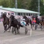 V85 ÖSTERSUND 8 aug 2026 – Eftersnack & Resultat don fanucci zet malgang 1440x960 jpg