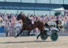 Inför V85 ÖSTERSUND: Världens snabbaste hingst är tillbaka dream mine heat final elitloppet 1440x960 jpg