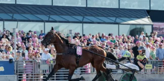 Inför V85 ÖSTERSUND: Världens snabbaste hingst är tillbaka dream mine heat final elitloppet 1440x960 jpg