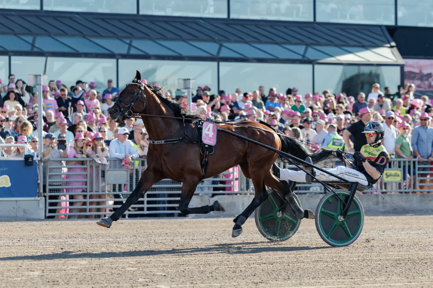 dream mine heat final elitloppet 1440x960 jpg