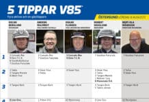 Fem tippar V85 till ÖSTERSUND 8 augusti 2026