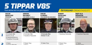 Fem tippar V85 till ÖSTERSUND 8 augusti 2026 Fem tippar V85 till ÖSTERSUND 8 augusti 2026