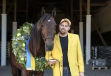 Inför V85 (tisdag): Dussinet fullt för Redén i derbykvalen francesco zet och daniel reden 2 1080x772 jpg