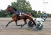 Inför V85 ÅBY: Dalborg har en outsider mud hill 1440x960 jpg