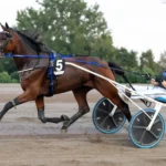 Inför V85 ÅBY: Dalborg har en outsider mud hill 1440x960 jpg
