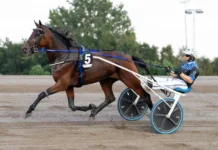 Inför V85 ÅBY: Dalborg har en outsider mud hill 1440x960 jpg