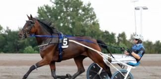 Inför V85 ÅBY: Dalborg har en outsider mud hill 1440x960 jpg