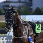 Törnqvists derbyfinalister flyttade rosso rubino segerdef 1440x912 jpg
