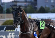 Törnqvists derbyfinalister flyttade rosso rubino segerdef 1440x912 jpg