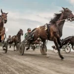 Stallkamrater förväxlades i lopp vinst1 26 jpg