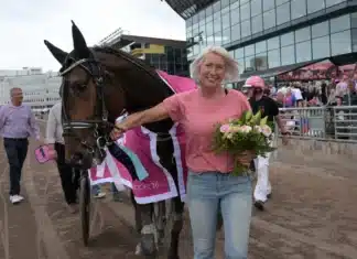 carros first king och angelica jonsson 1440x971 jpg