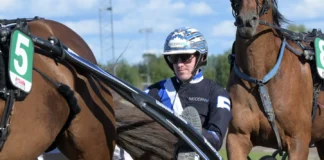 Inför V86: Heta chanser för Christoffer Eriksson – ”De två är mina bästa” christoffer eriksson i sulky 1440x810 jpg