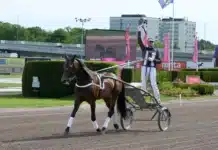 Francesco Zet slutar tävla daniel reden star upp i vagnen bakom francesco zet 2 1440x1023 jpg