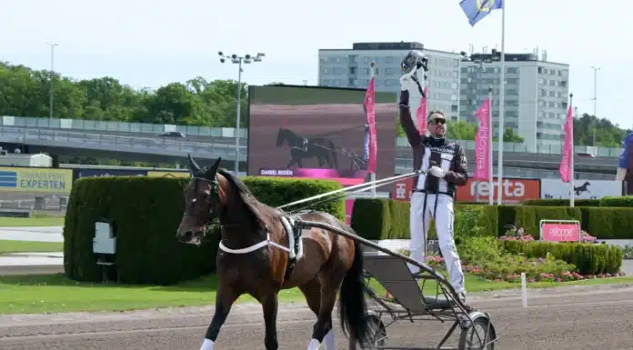 Francesco Zet slutar tävla daniel reden star upp i vagnen bakom francesco zet 2 1440x1023 jpg