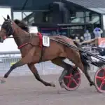Inför V85 FÄRJESTAD: Formstarka italienskor kan sätta miljonerna i rullning esperia font 1440x960 jpg