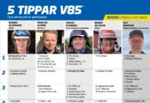 fem tippar v85 v40