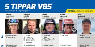 Fem tippar V85 till BODEN 3 oktober 2026 fem tippar v85 v40