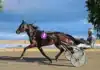 Inför V86: ”Intro är den bästa häst jag har tränat” intro heat 1440x832 jpg