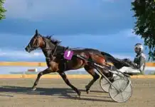 Inför V86: ”Intro är den bästa häst jag har tränat” intro heat 1440x832 jpg