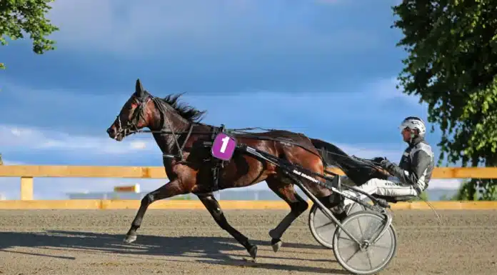intro heat 1440x832 jpg