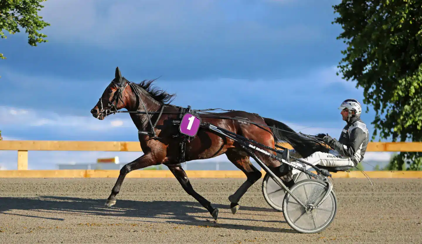 intro heat 1440x832 jpg