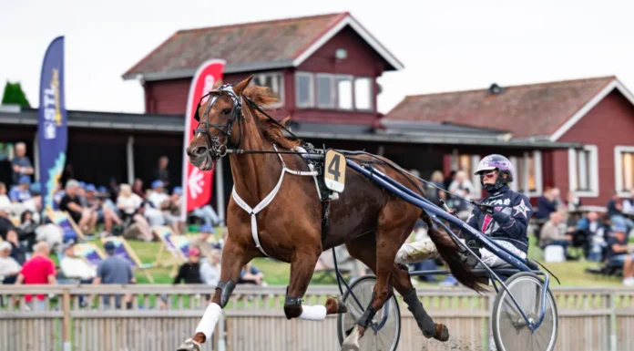 Inför V85 HAGMYREN: Het segerchans – om det inte vore för startmetoden kopparmarra heat 1440x960 jpg