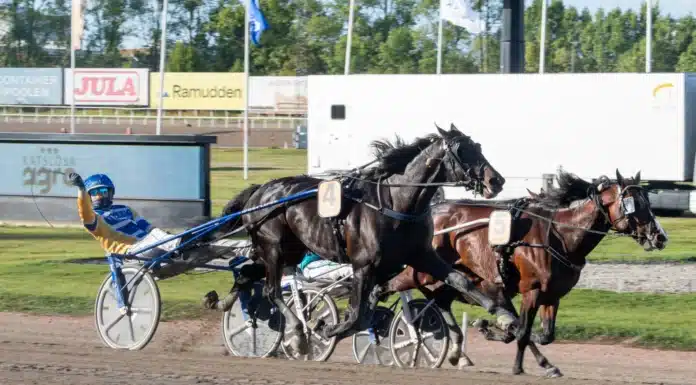 Allsvenska kuskligan: Strid på kniven mellby narrow malgang 1440x960 jpg