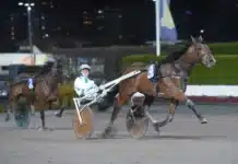 V85 statistik: Klass och startsnabbhet avgörande på Jägersro mister malabar mal 1440x935 jpg
