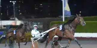 V85 statistik: Klass och startsnabbhet avgörande på Jägersro mister malabar mal 1440x935 jpg