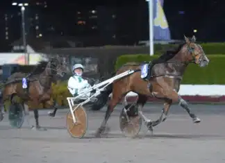 V85 statistik: Klass och startsnabbhet avgörande på Jägersro mister malabar mal 1440x935 jpg
