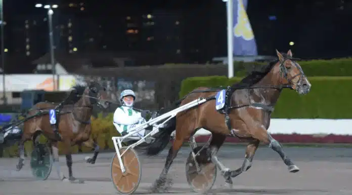 V85 statistik: Klass och startsnabbhet avgörande på Jägersro mister malabar mal 1440x935 jpg