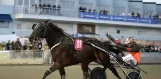 Toppsto slutar tävla olly haleryd mal 1440x1007 jpg