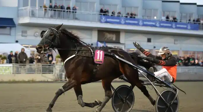 Toppsto slutar tävla olly haleryd mal 1440x1007 jpg